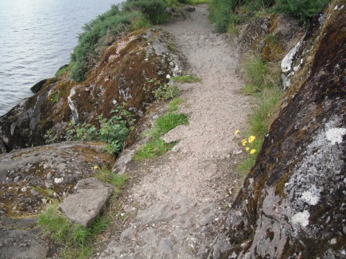 Rocky Trail