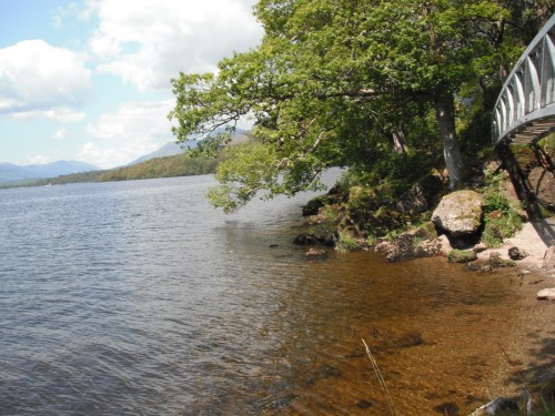 Bridge along the trail