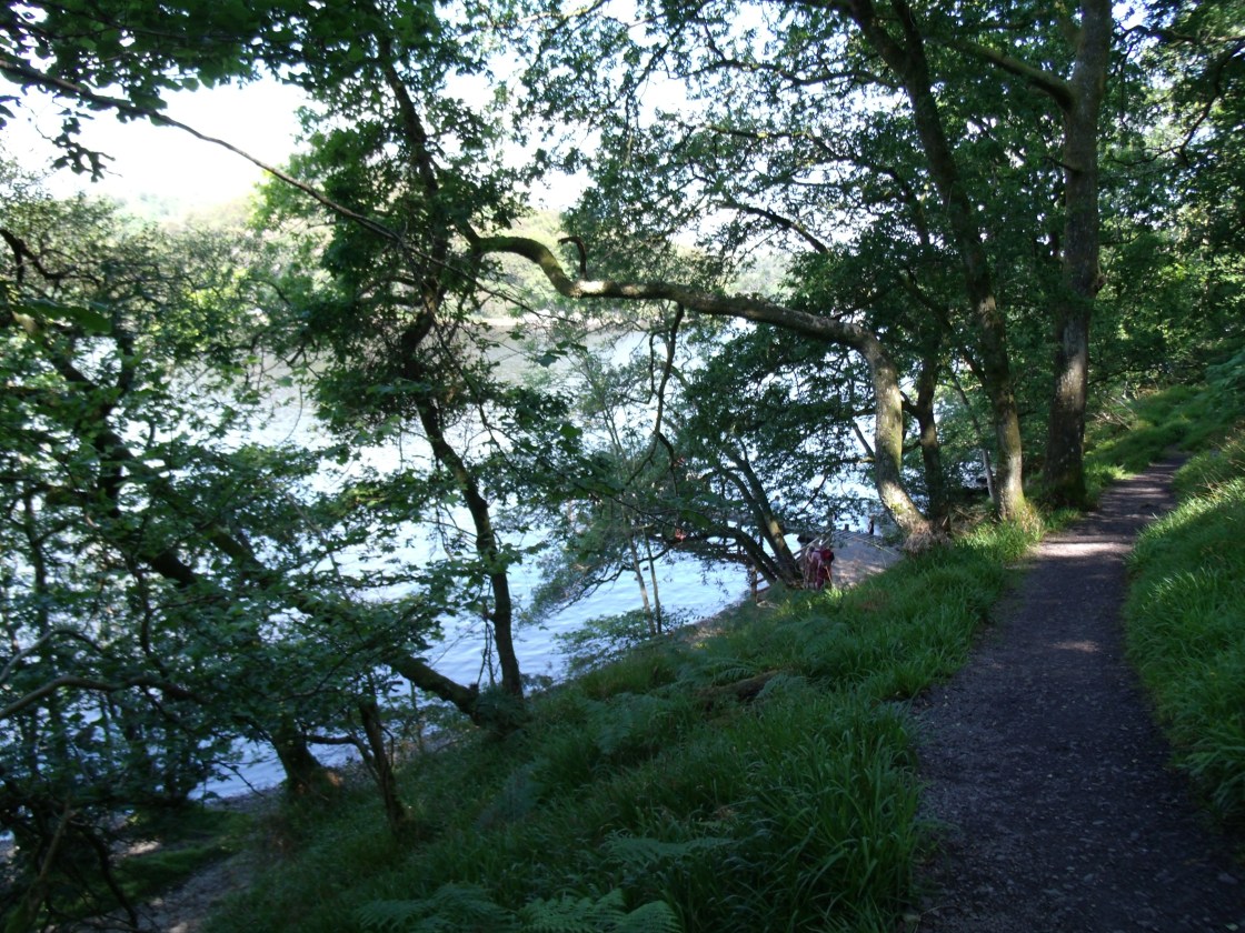 looking down to the jetty
