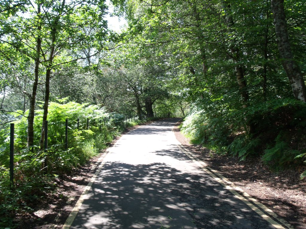 The road to the jetty