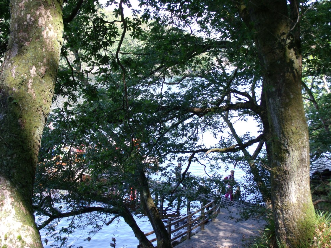 Back to the beginning