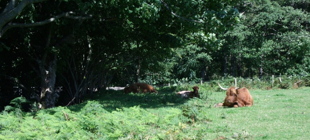 Unexpected Emcounter