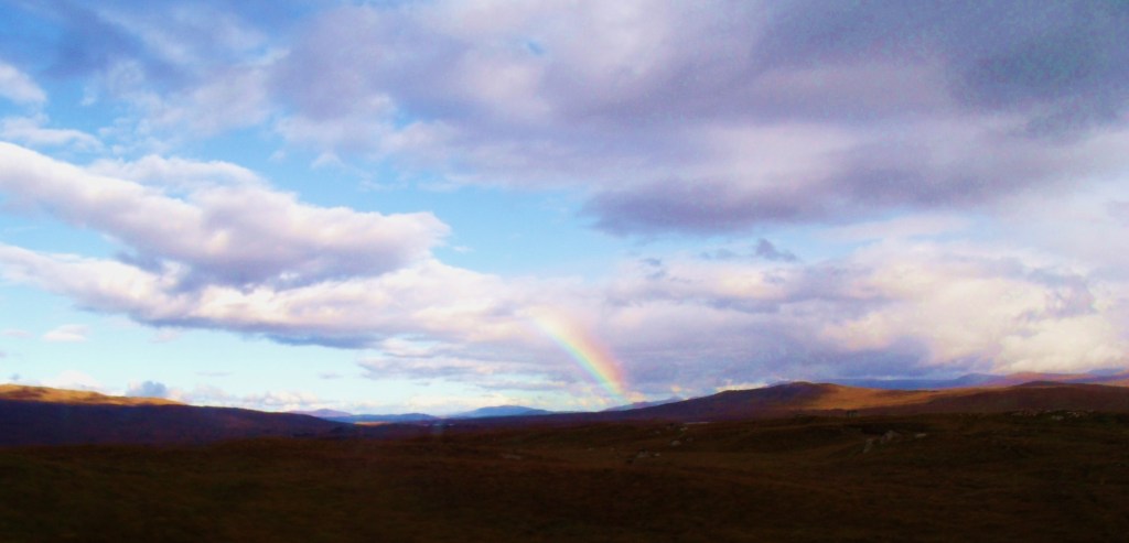 GEDSC DIGITAL CAMERA