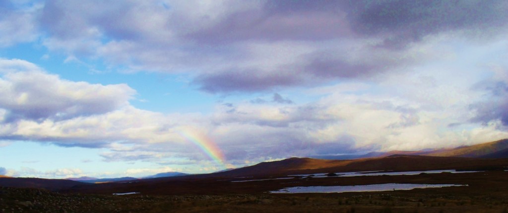 Lochans on Rannoch Moor