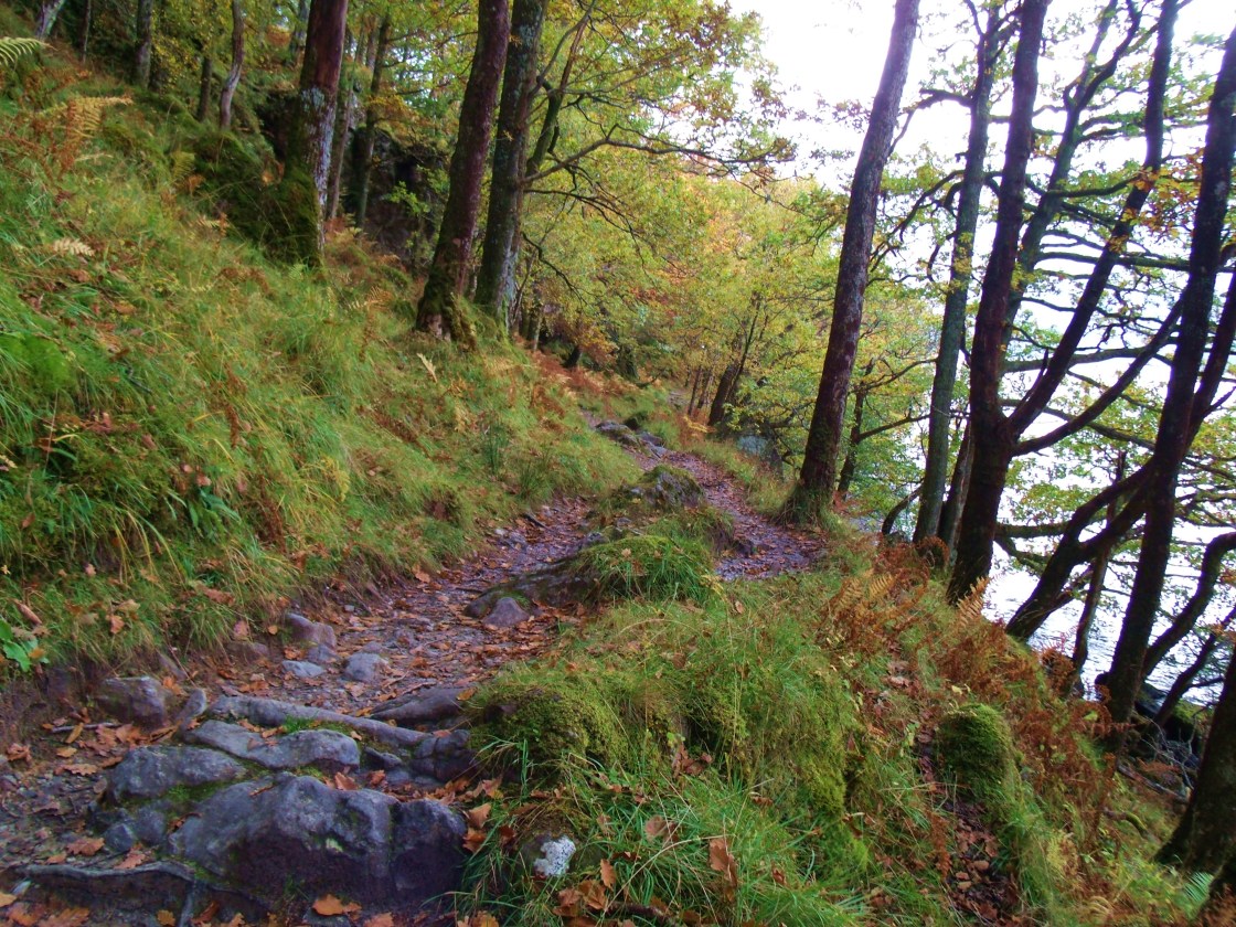 Rocky Trail at Inversnaid