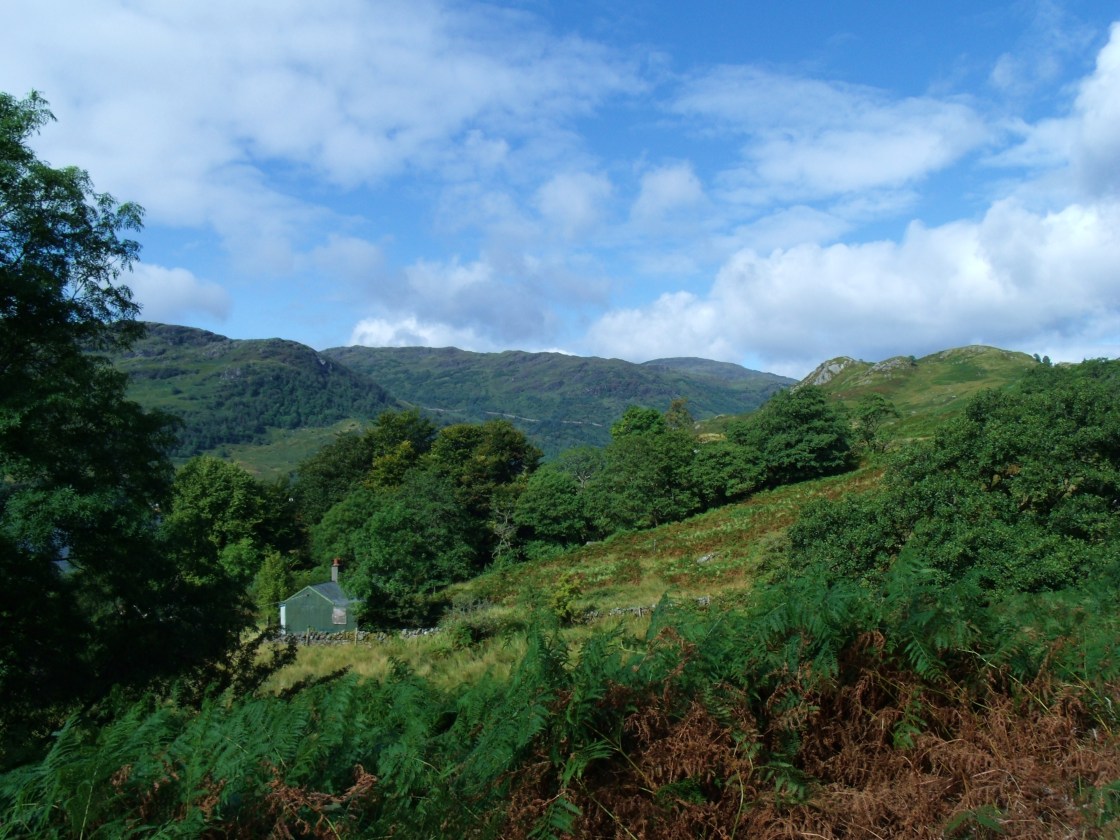 GEDSC DIGITAL CAMERA