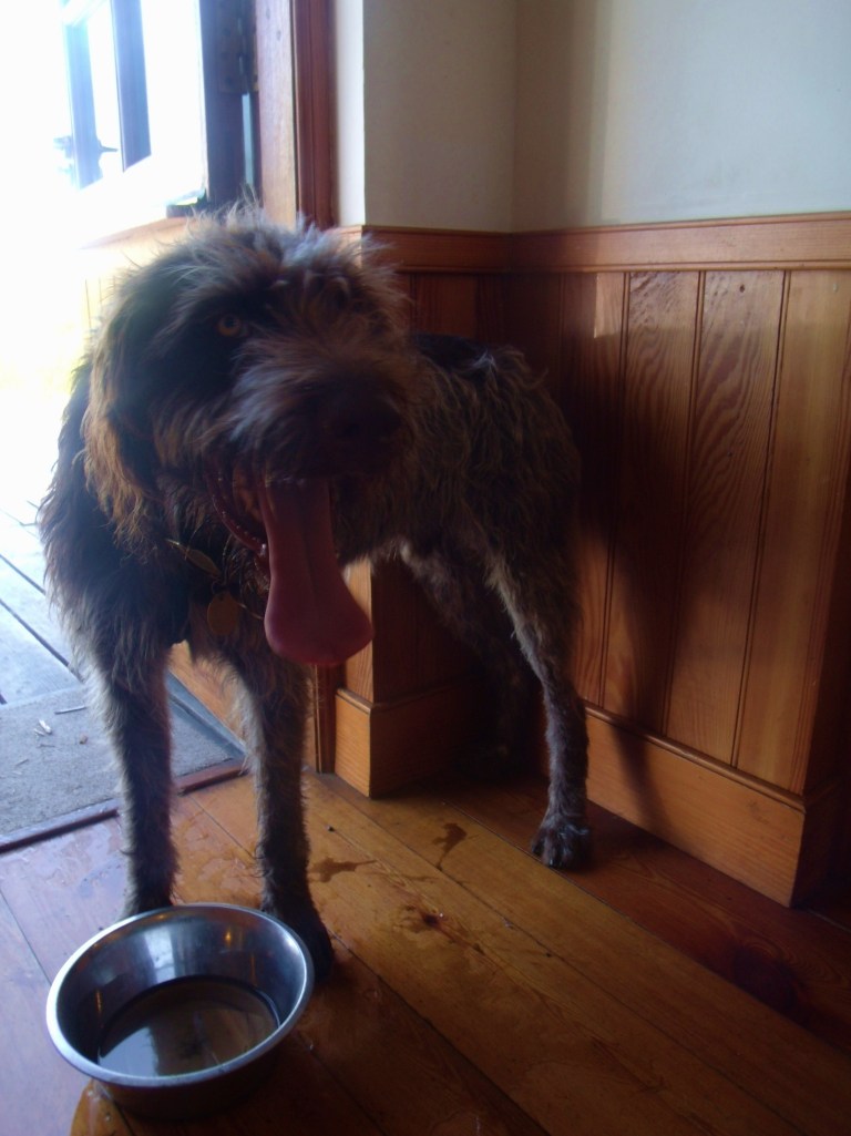 GEDSC DIGITAL CAMERA