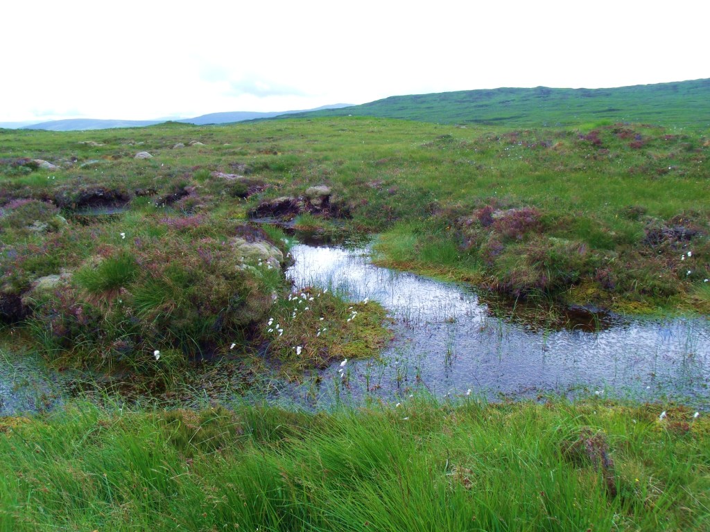 GEDSC DIGITAL CAMERA