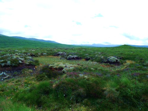 GEDSC DIGITAL CAMERA