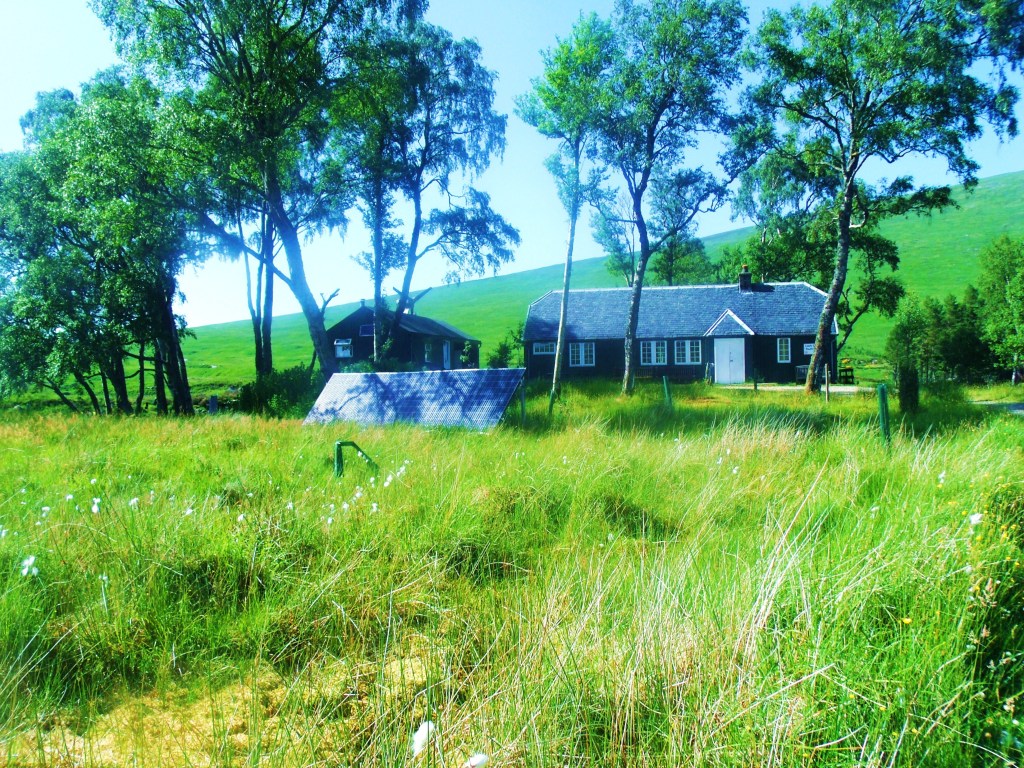 GEDSC DIGITAL CAMERA