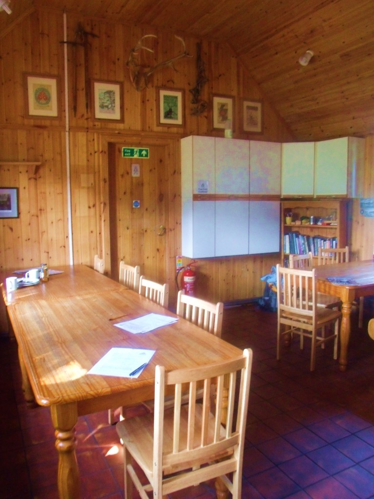 GEDSC DIGITAL CAMERA