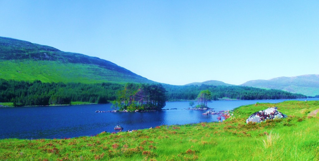 GEDSC DIGITAL CAMERA