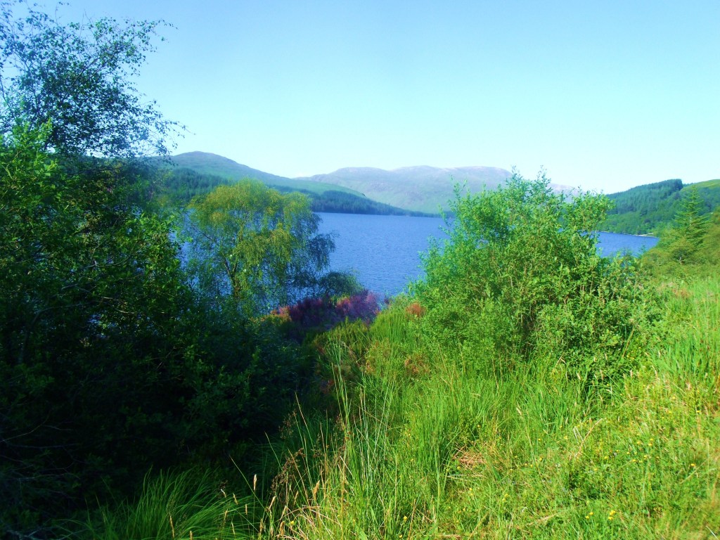 No More MoorGEDSC DIGITAL CAMERA