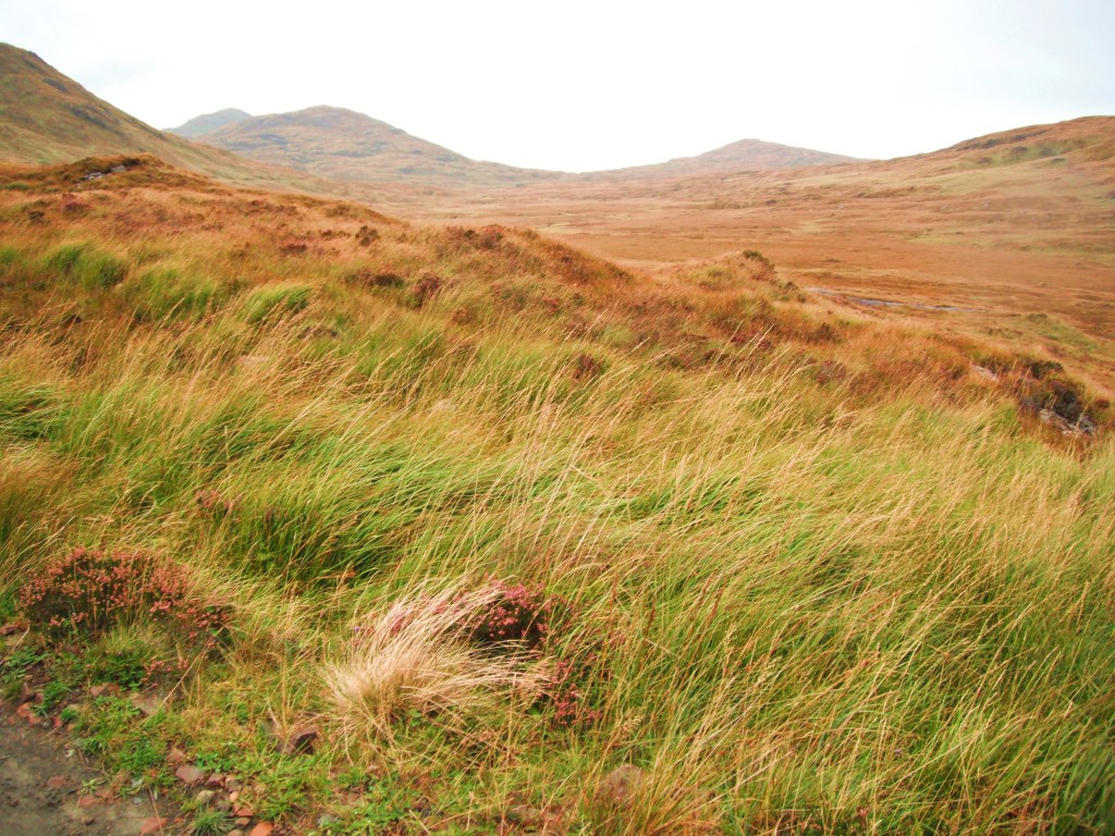 On The Way To Kilmory