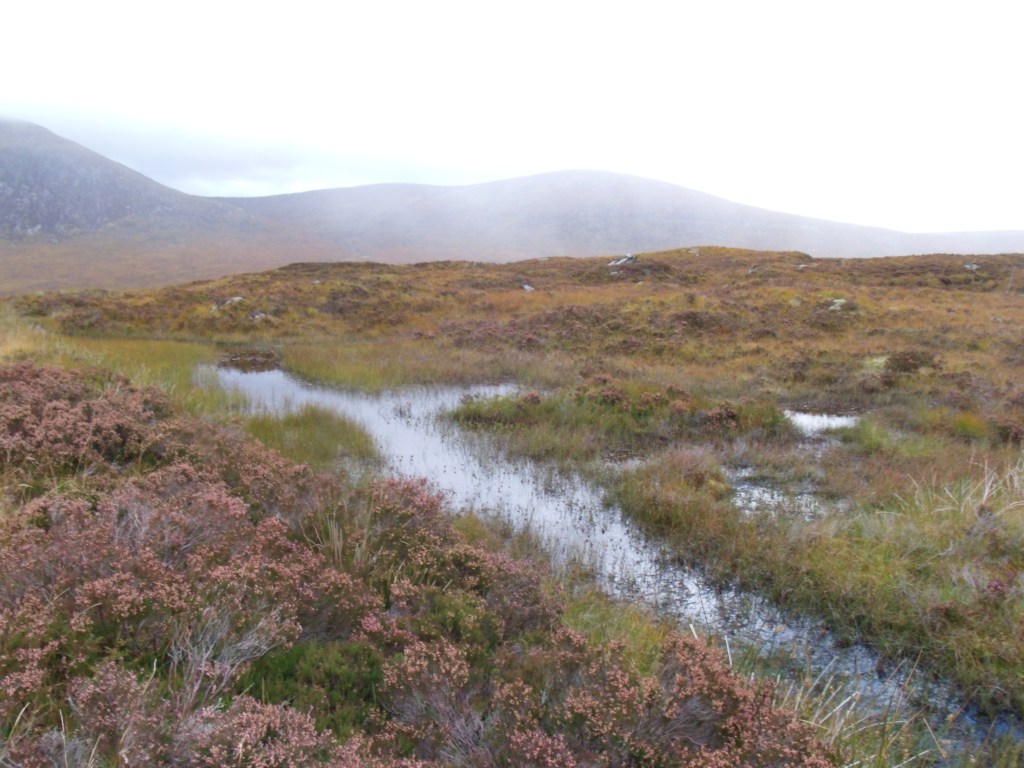 Rivulet On Rannoch Moor Heading To River Etive