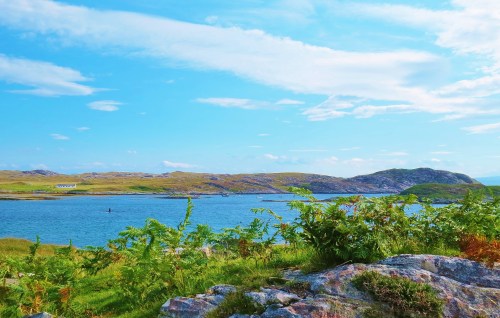 Wildlife in Loch Eatharina
