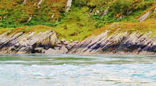 Corryvreckan Whirlpool by Jura