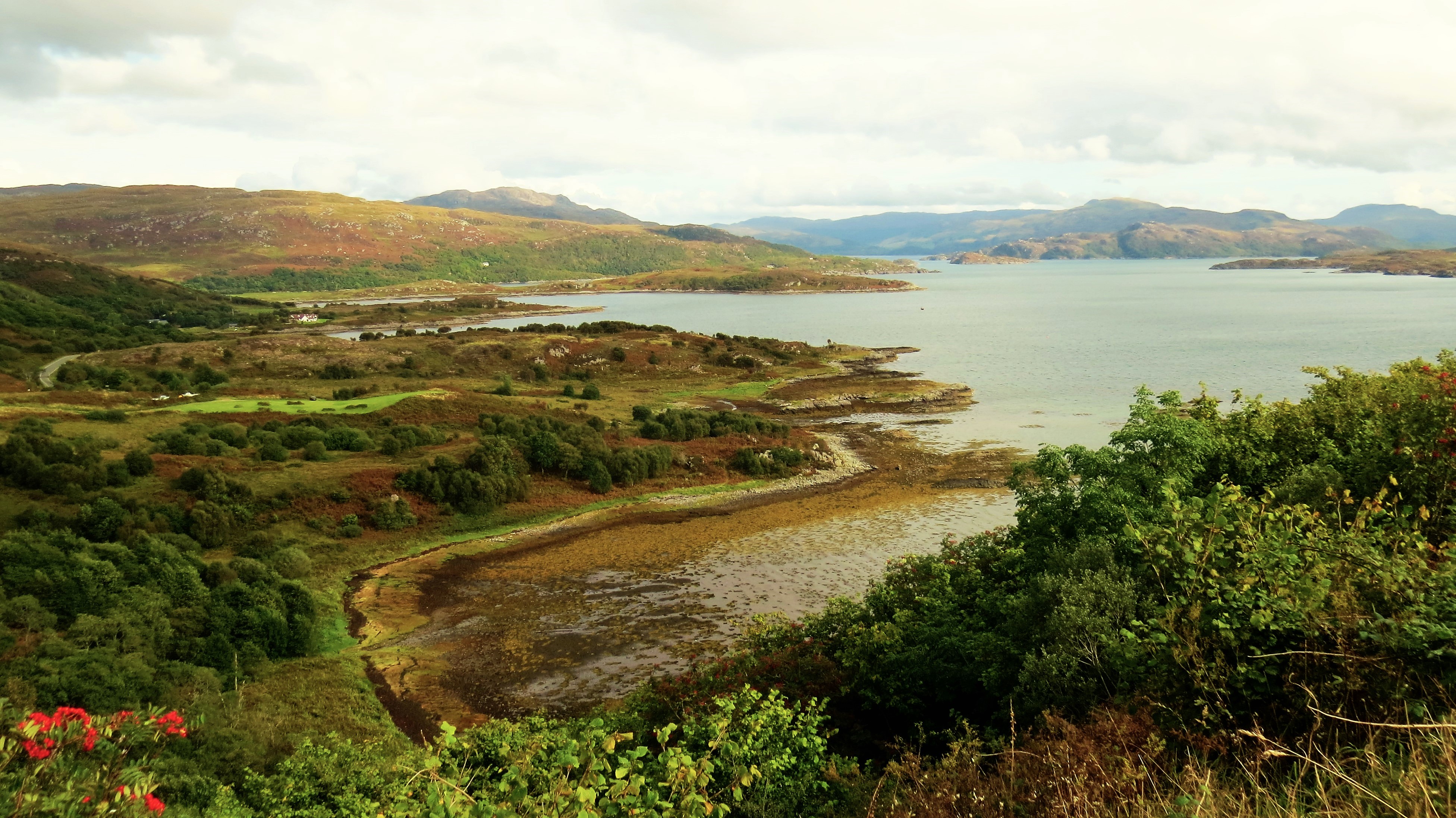 at-the-edge-of-the-rain-forrest-ardnamurchan
